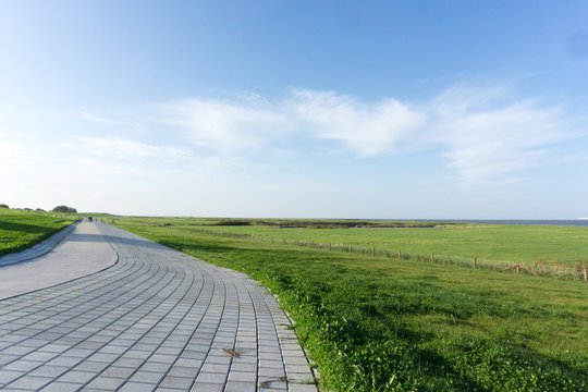 Weideland am Meer