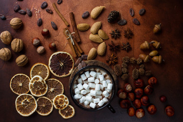 Cup of traditional hot chocolate or cocoa with marshmallow, cinnamon, nuts and spices on dark stone table