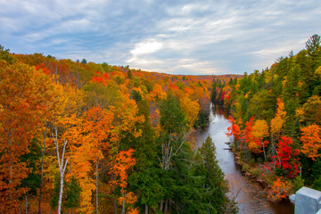 Dead River Autumn