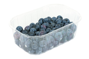 Blueberries in a plastic container on white background