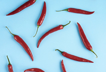 Flat lay red chili peppers pattern on blue background. Top view
