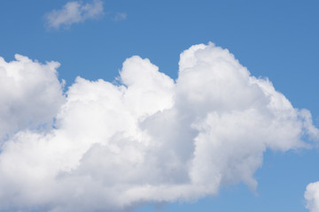 Fluffy white cumulus clouds against a bright medium blue sky. Photographed in natural light.
