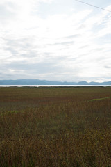 ソバ畑と猪苗代湖