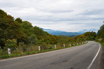紅葉の峠道