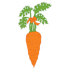 Vector Orange Carrot 