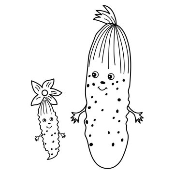 Vector Cartoon Cucumbers