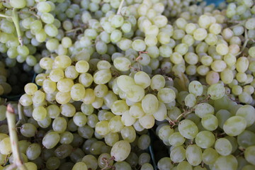 grape