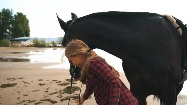 Beautiful girl cares for her horses on beach. Focus on the girl.