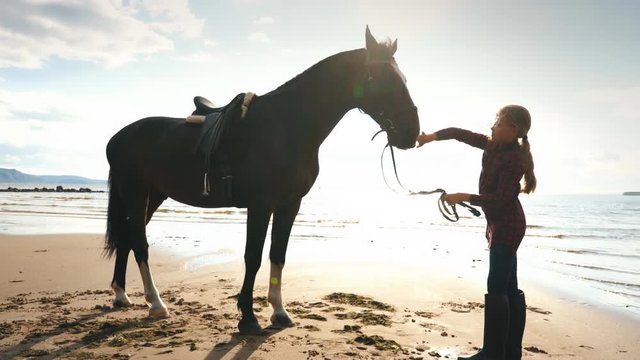 Beautiful girl cares for her horses on beach. Focus on the girl.