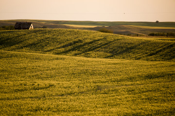 Prairie Scene Saskatchewan