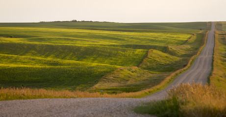 Prairie Scene Saskatchewan