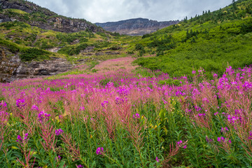 Glacier National Park
