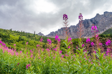 Glacier National Park
