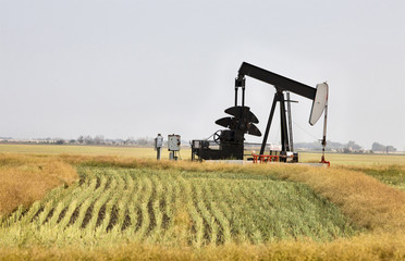 Oil Jack Saskatchewan