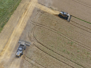 Harvesting wheat harvester