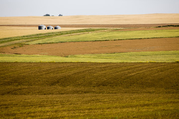 Prairie Scene Saskatchewan