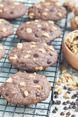Homemade chocolate cookies with walnuts and chocolate chips on cooling rack, vertical