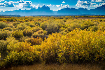 Fototapeta premium Teton fall