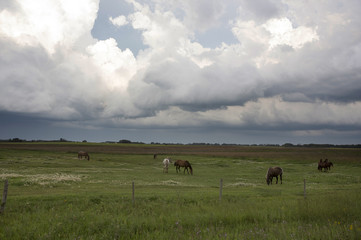 Storm Clouds Canada