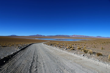 Piste au milieu du parc national bolivien