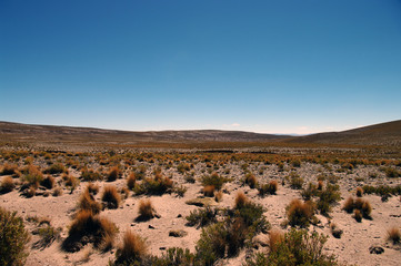 Paysage fantasmagorique bolivien