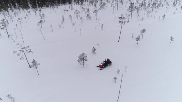AERIAL CLOSE UP: People driving snowmobile on beautiful white snowy mountain slope exploring Lapland, Finland. Tourists on snowmobile adventure joyride. Travelers snowmobiling through pine tree forest
