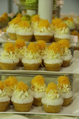 Collage of various cupcakes: vanilla in decorative cup