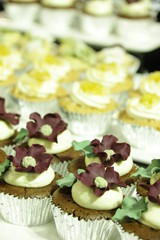 of various cupcakes  chocolate in decorative cup