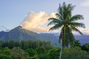 Fototapeta na wymiar Hanalei Bay, Kauai, Hawaii