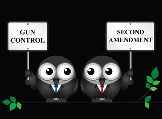 Gun control verses the USA second amendment and the right to keep and bear arms