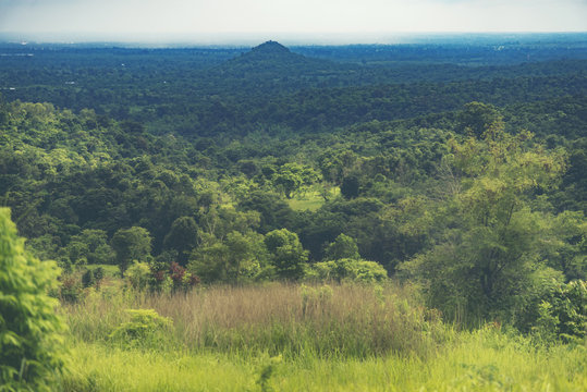landscape view of tropical forest in Thap Lan National Park, Thailand