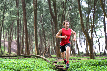 Trail runner man athlete running through forest nature on path sprinting jumping over wood. Sport...