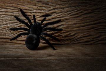Halloween concept with a black toy spider