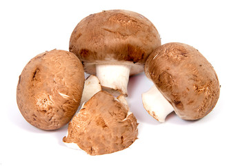 Set Champignon mushroom isolated on white background.