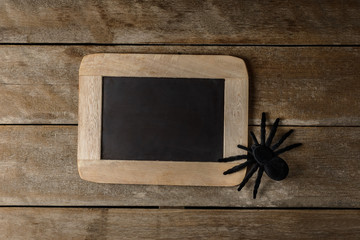 Halloween Chalk board and black toy spider