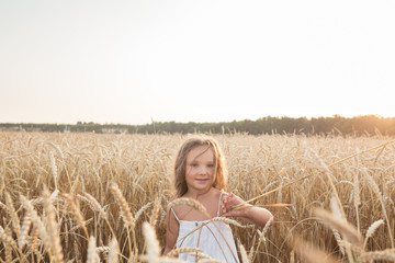 Little beautiful smiling girl on a gold wheat field walking at sunset. Happy five years old girl smiling and laughing in summer day at nature