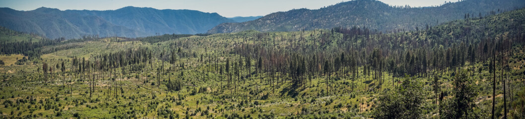 Summer holidays in the USA. The wild nature of Sierra Nevada