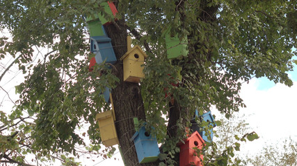 Fototapeta premium The birdhouses .Colorful wooden bird tree house. To illustrate the housing problem.