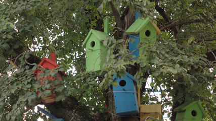 The birdhouses .Colorful wooden bird tree house. To illustrate the housing problem.