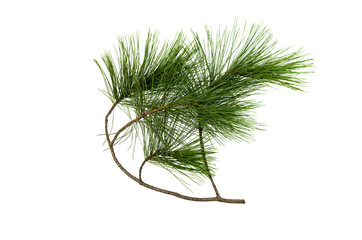 Naklejka premium Fir tree branches isolated on white background. Christmas pine tree branches decoration.