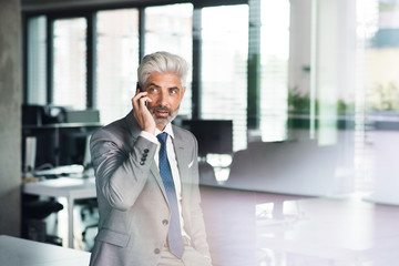 Fototapeta premium Mature businessman with smartphone in the office.