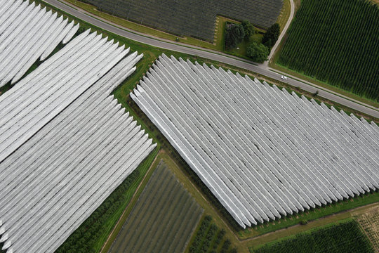 Luftaufnahme von in Reihen gepflanzten mit Netzen abgedeckten Apfelbäumen in Süddeutschland