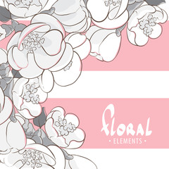 Black and white apple blossoms