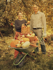 Obraz premium Man and woman with harvest in vegetables garden