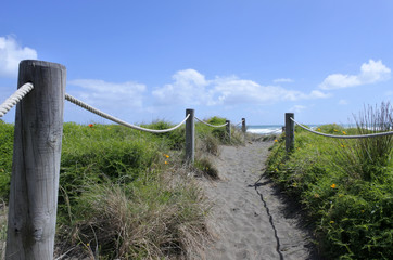 Sand dune path in Piha beach New Zealand