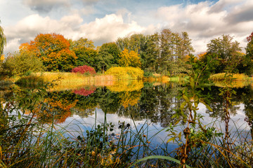 Fototapeta na wymiar Herbst