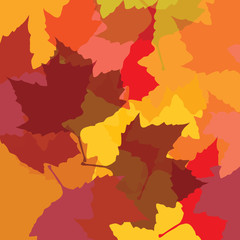 Vector seamless background: a lot of maple autumn leaves on the ground.