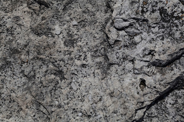 texture of grey stone. Background, blank space for design. Abstract stone surface close-up