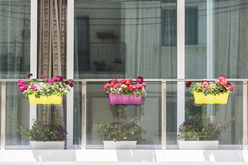 Fototapeta na wymiar Maltese window decorated with flowers