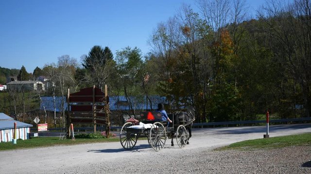 An Amish woman riding in a carriage arrives at an intersection in the road